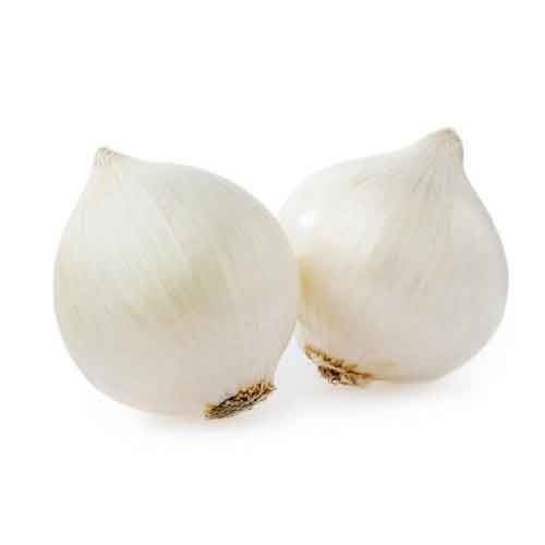Healthy and Natural Organic Fresh White Onion