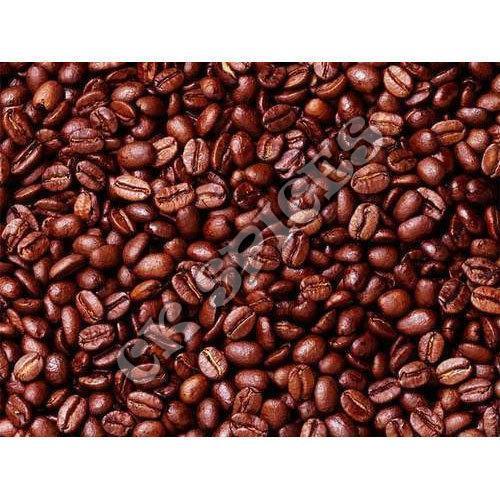 Organic Natural Brown Cocoa Beans