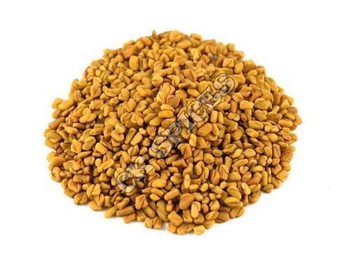 Yellow Fenugreek Seeds for Cooking