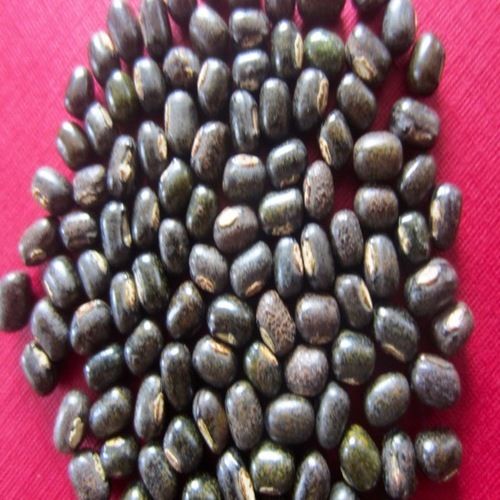Healthy and Natural Organic Black Mung Beans
