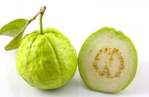 Green Healthy And Natural Organic Fresh Guava