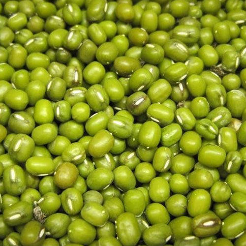 Healthy And Natural Organic Green Mung Beans Grain Size: Standard