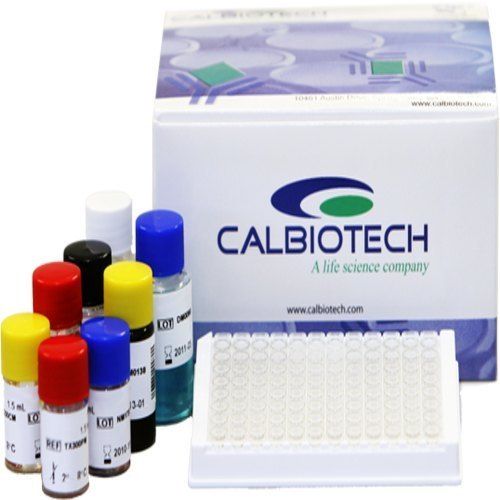Calbiotech Vitamin B12 Elisa