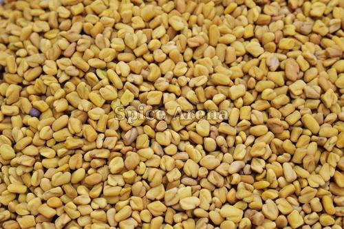 Dried Yellow Fenugreek Seeds