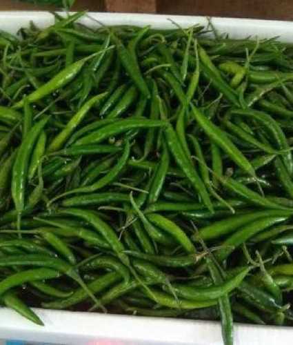 Green Chillies for Cooking