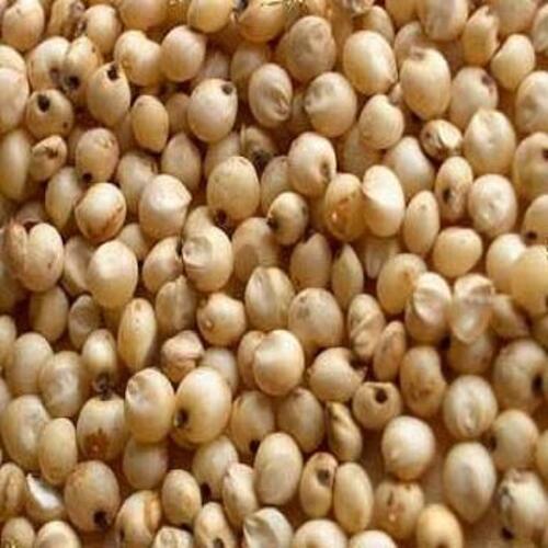 Healthy and Natural Organic Sorghum Seeds - High Protein, FSSAI Certified, Non-Harmful, Natural Taste, Shelf Life of 1 Year