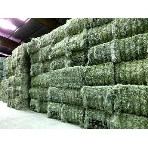 High Quality Alfalfa Hay