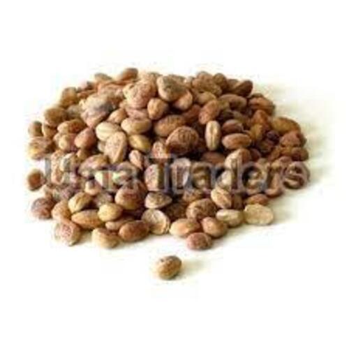 Organic Natral Brown Chironji Nuts