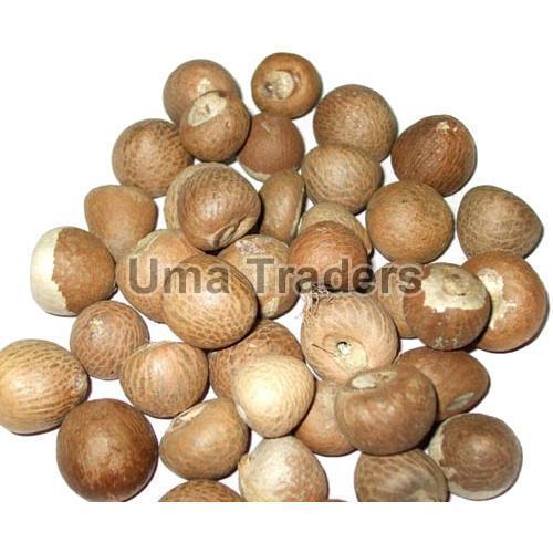 Natural Brown Betel Nuts