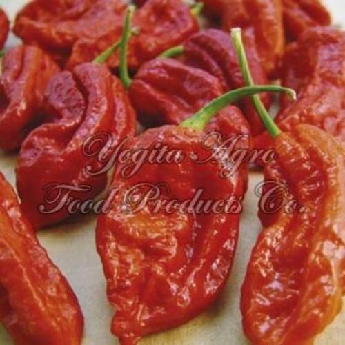 Healthy and Natural Dried Bhut Jolokia Chilli