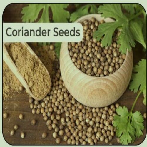 Healthy And Natural Dried Coriander Seeds Grade: Food Grade