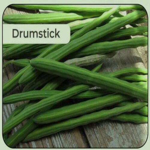 Healthy and Natural Fresh Green Drumsticks