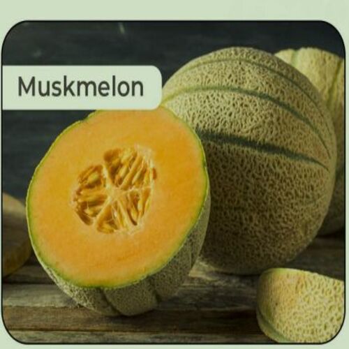 Healthy And Natural Fresh Muskmelon Origin: India