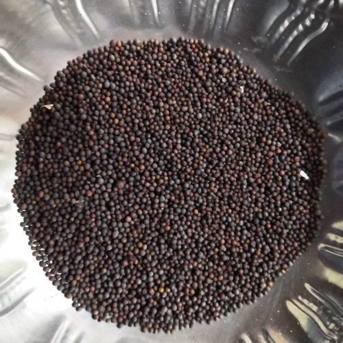 Healthy and Natural Organic Black Mustard Seeds