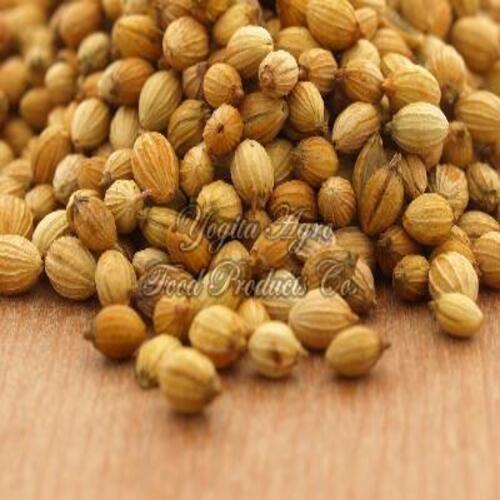 Healthy and Natural Organic Dried Coriander Seeds