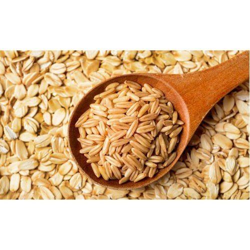 Healthy and Natural Organic Milling Wheat Seeds