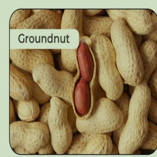 Healthy and Natural Shelled Groundnuts