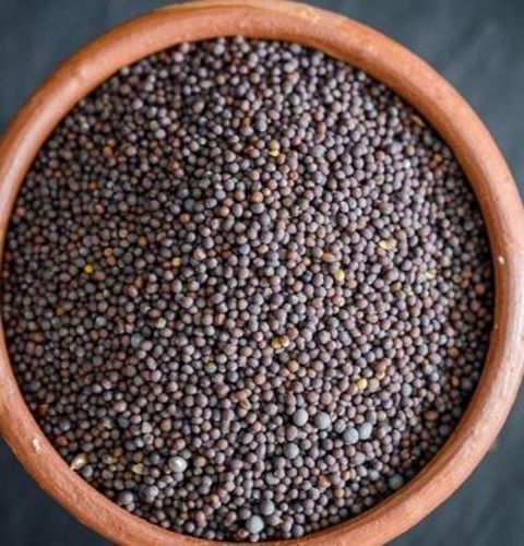 Dried Black Mustard Seeds