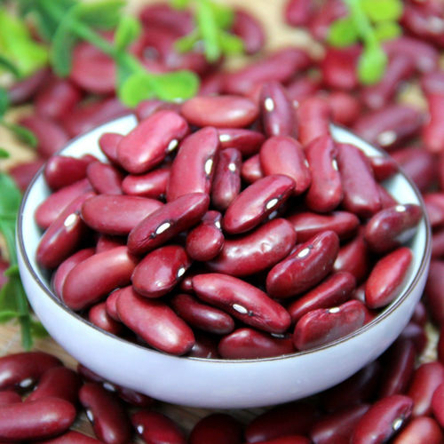 Kidney Beans - Dried Red, 25 Kg Bulk Packaging | Natural Cultivation, 24 Months Shelf Life, 0.2% Admixture Max, 180-230 Beans/100g