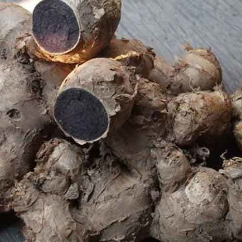 Healthy and Natural Organic Dried Black Ginger