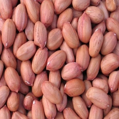 Brown Healthy And Natural Organic Groundnut Seeds