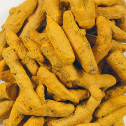 Yellow Healthy And Natural Unpolished Turmeric Finger