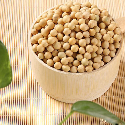 NON GMO Soya Beans with 2 Year of Shelf Life