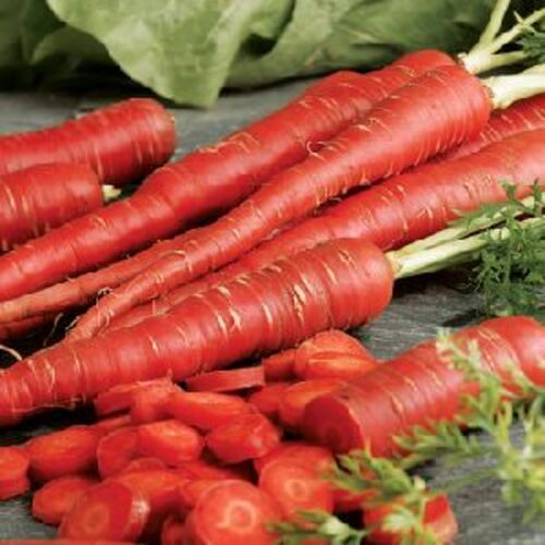 Fresh Red Carrot For Cooking Preserving Compound: Cool & Dry Places