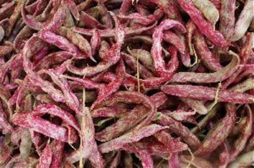 Fresh Shelling Beans For Cooking