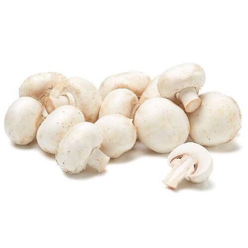 Natural Fresh Mushrooms for Cooking