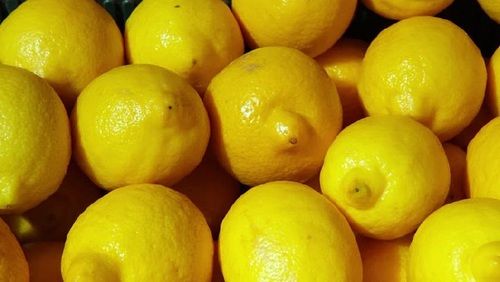 Good Quality Fresh Lemons