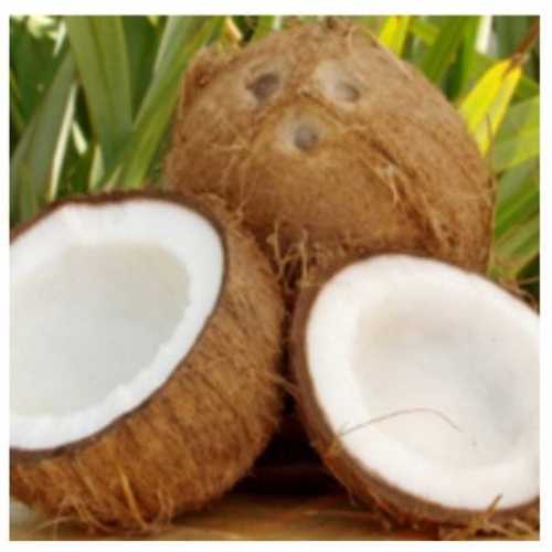 High Nutritional Value Semi Husk Coconut