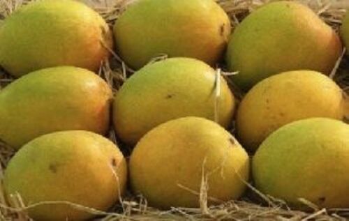Natural Fresh Pyari Mango