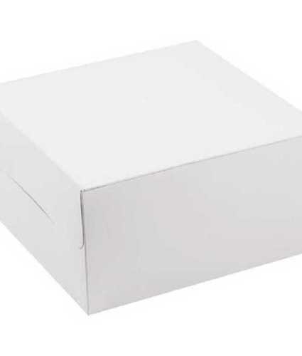 Paper White Plain Cake Box