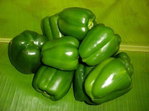 Healthy and Natural Fresh Green Capsicum