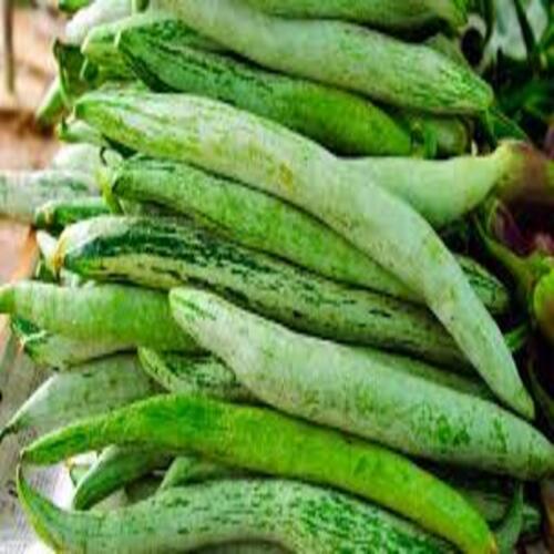 Tan Healthy And Natural Fresh Green Snake Gourd