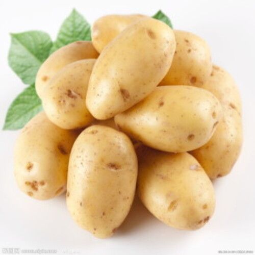 Healthy and Natural Fresh Potato