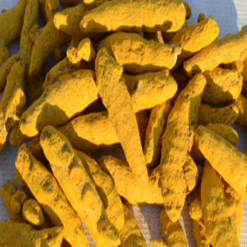 Healthy and Natural Fresh Turmeric Finger