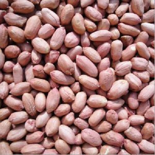 Natural Dried Peanut Kernels