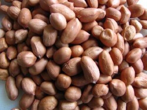 Natural Fresh Peanut Kernels