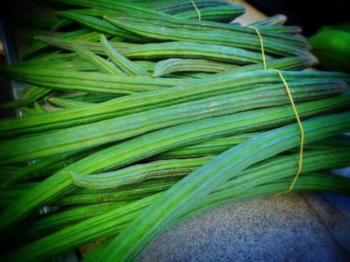 Healthy And Natural Fresh Green Drumsticks