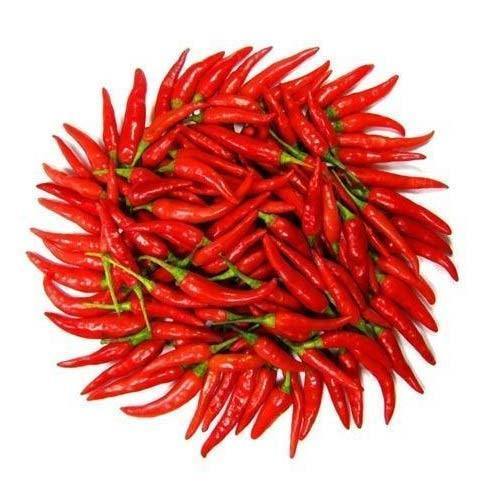 Healthy and Natural Organic Red Chilli