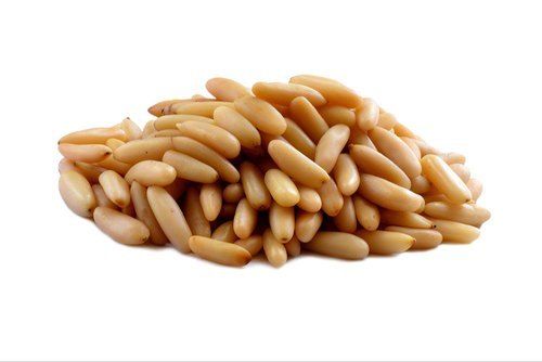 Organic Natural Fresh Pine Nuts