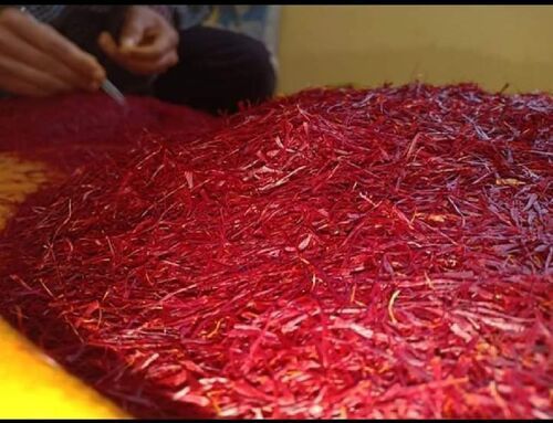 pure kashmiri saffron