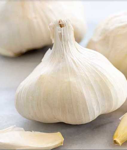 Organic White Fresh Garlic 