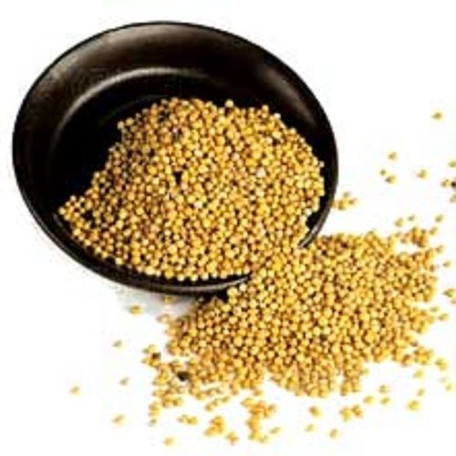Dried Yellow Mustard Seeds