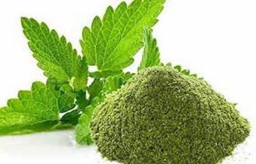 Green Dehydrated Mint Pudina Leaf Powder