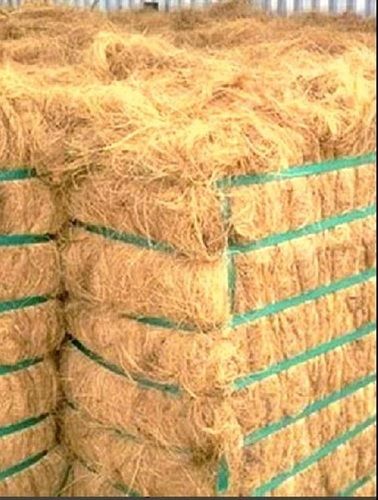 Hard Raw Coir Fiber