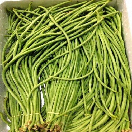 Healthy and Natural Fresh Green Beans