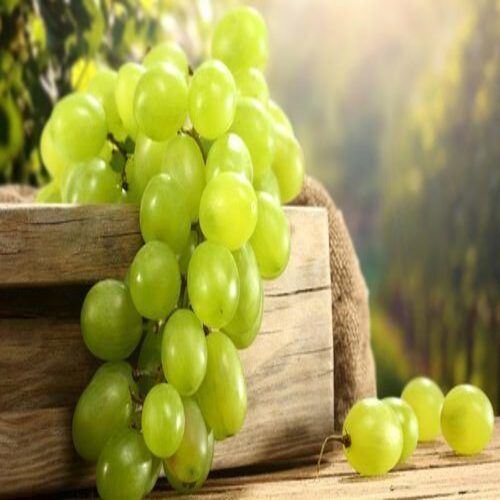 Healthy and Natural Fresh Green Grapes